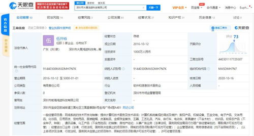 計算機系統(tǒng)集成服務 構建智能未來的關鍵橋梁